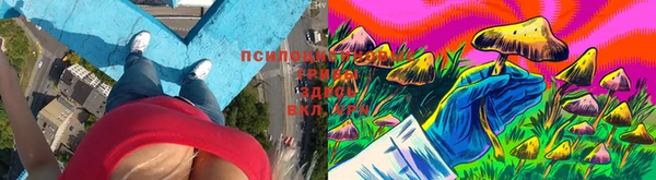 дурь Армянск