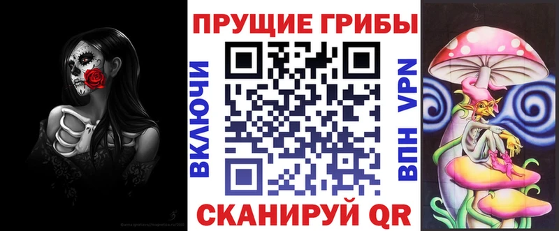 даркнет сайт  Грайворон  Псилоцибиновые грибы Cubensis 