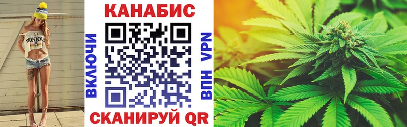 Бошки Шишки конопля  Грайворон 